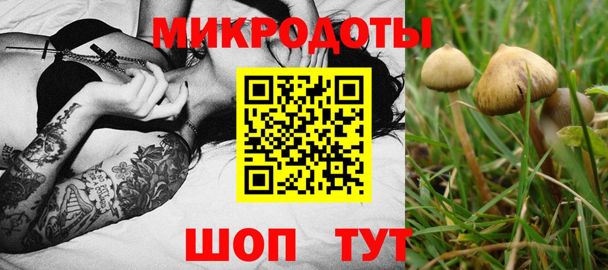 Галлюциногенные грибы мицелий Краснознаменск