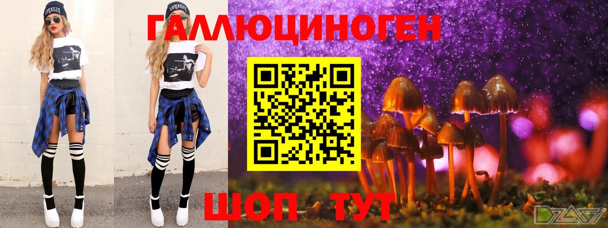 сколько стоит  Псилоцибиновые грибы мухоморы  Вход с VPN  Краснознаменск  Галлюциногенные грибы ЛСД 