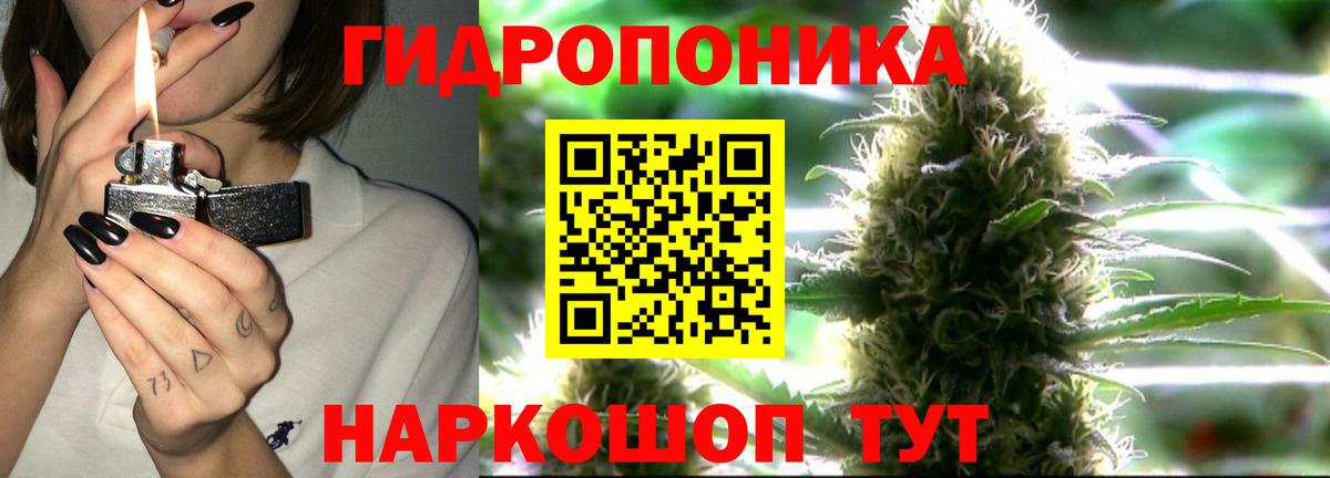 Шишки марихуана семена Краснознаменск
